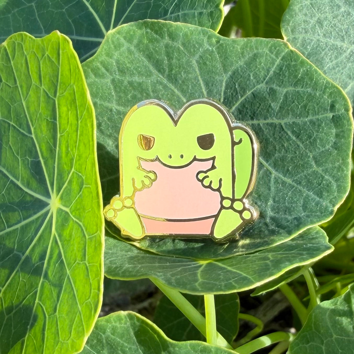 #0252 Treecko