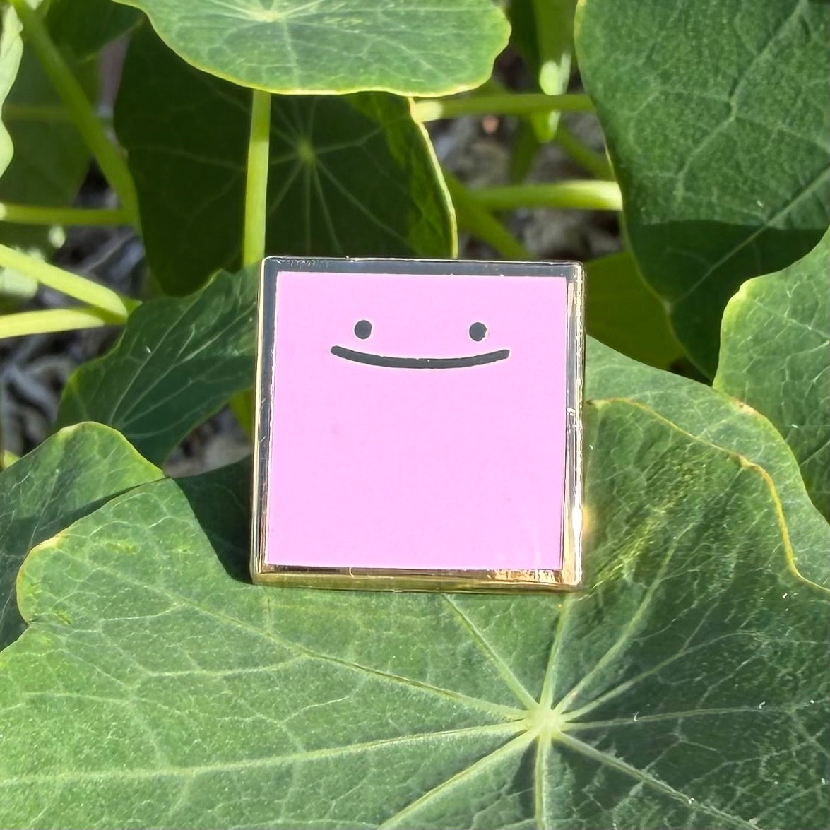 #0132 Ditto