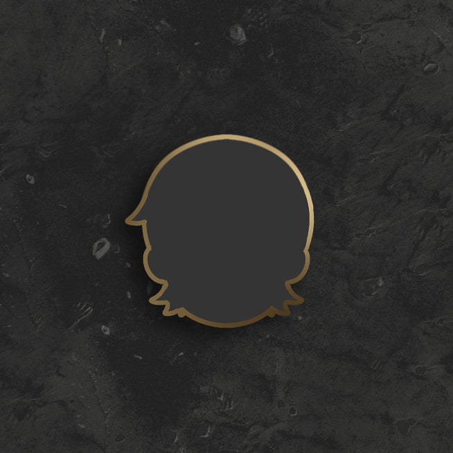??? Pin