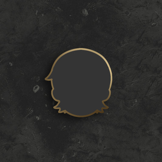 ??? Pin