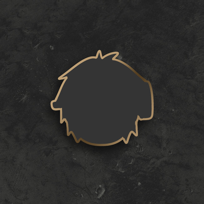 ????? Pin