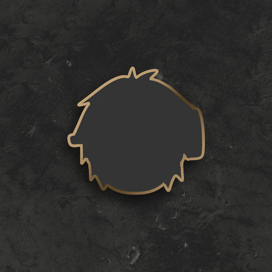 ????? Pin
