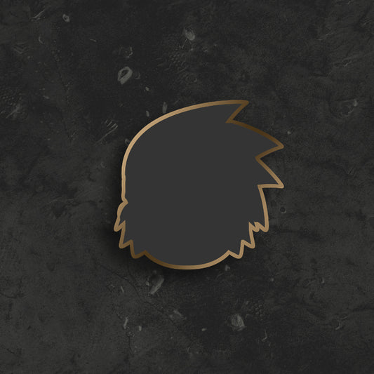 ???? ????? Pin