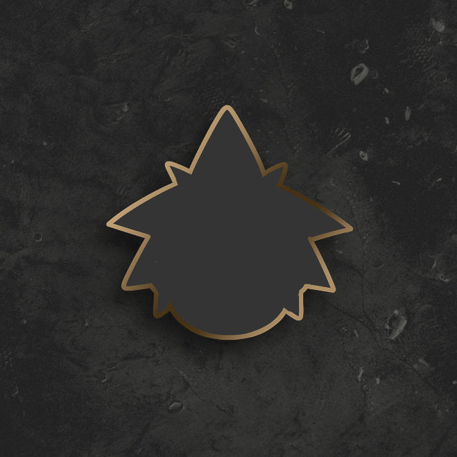 ????? ???? Pin